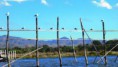 /album/inle-lake/img-3753-jpg1/