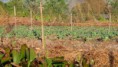 /album/inle-lake/img-3843-jpg/