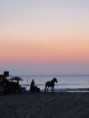 /album/photogalery-ngwe-saung-beach/img-5292-jpg/