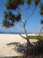 /album/photogalery-ngwe-saung-beach/img-5723-jpg/