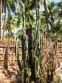 /album/photogalery-ngwe-saung-beach/img-5739-jpg/
