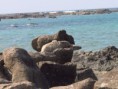 /album/photogalery-ngwe-saung-beach/img-5816-jpg/