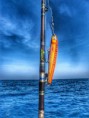/album/deep-sea-ngwe-saung-beach/a2-jpg2/